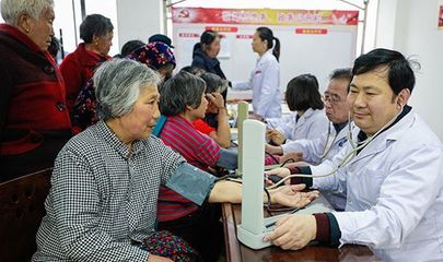 樊城区人民政府文化艺术咨询服务指南