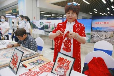 文化艺术咨询服务 连接创意与价值的桥梁