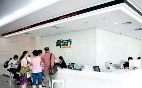 2018新东方艺考文化课春季住宿班 文化艺术咨询服务全解析